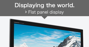 Displaying the world. Flat panel display