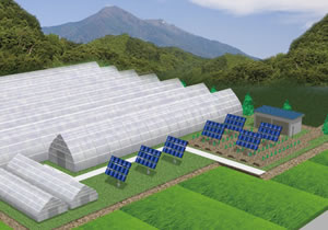 農地用追尾型太陽光発電システム